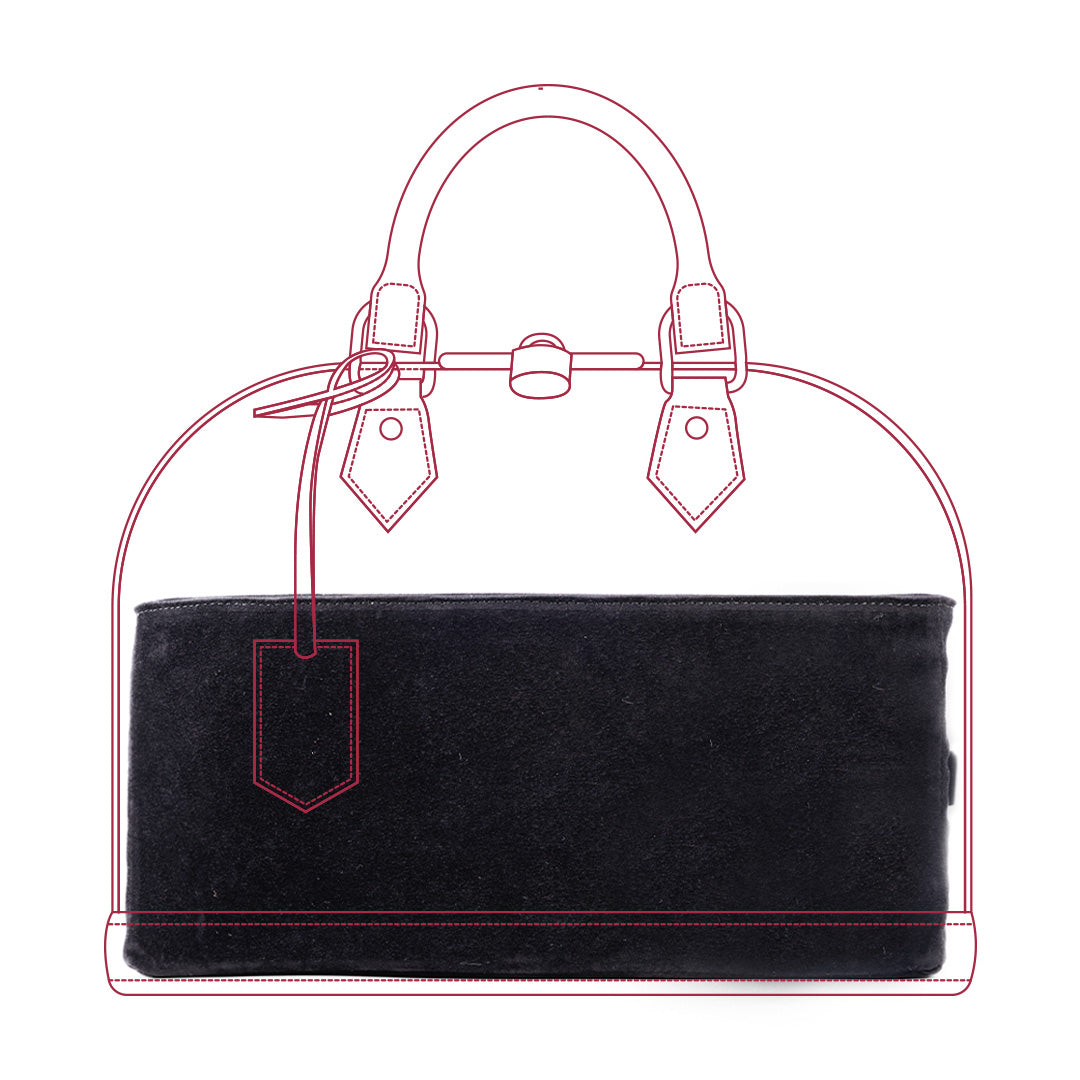 Organizer per Alma