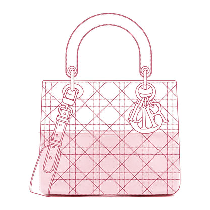 Organizer per Lady Dior Soft